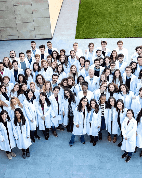 Why Studying Medicine in Italy is a Top Choice - Medlink Students